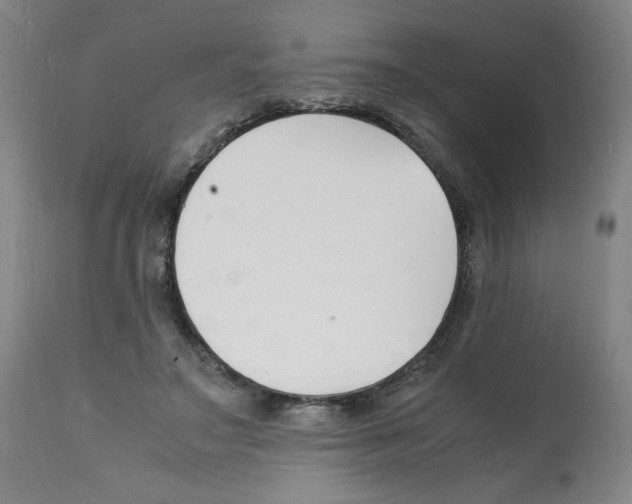 X0000112150499200909181426