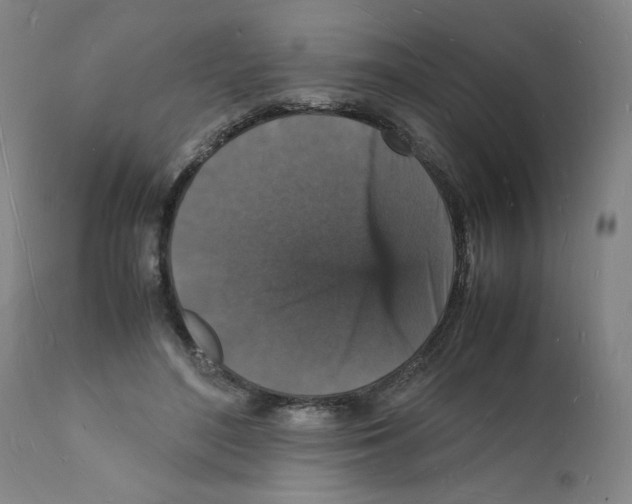 X0000112150500200909181426