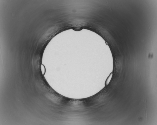 X0000112150501200909181426