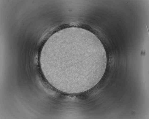 X0000112150502200909181426