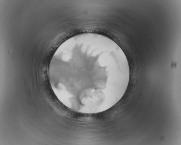 X0000112150503200909181426