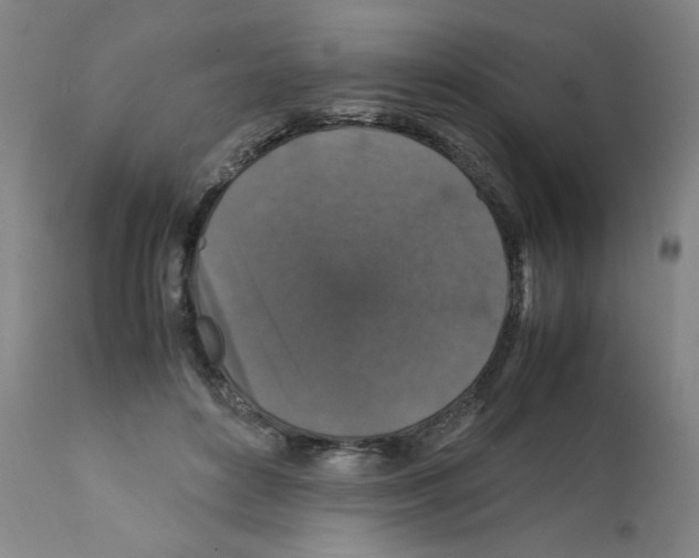 X0000112150504200909181426