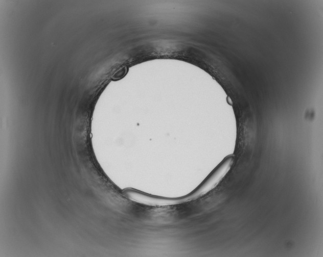 X0000112150505200909181426