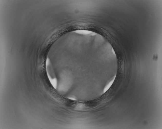 X0000112150507200909181426