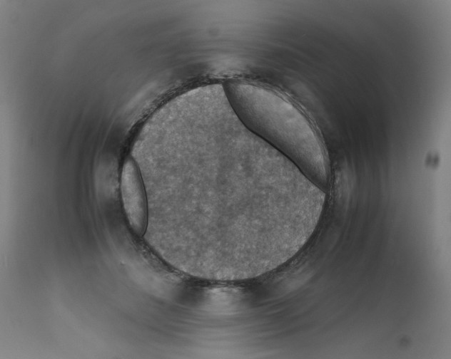X0000112150508200909181426