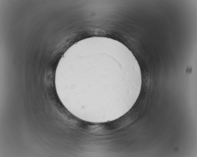 X0000112150511200909181426