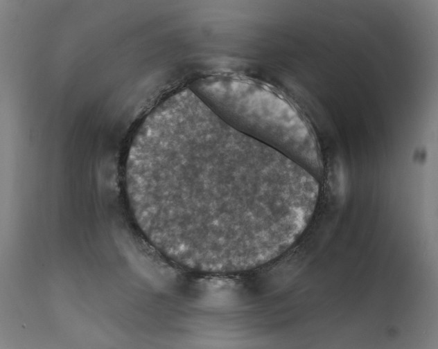 X0000112150512200909181426