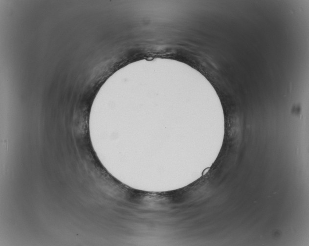 X0000112150515200909181426