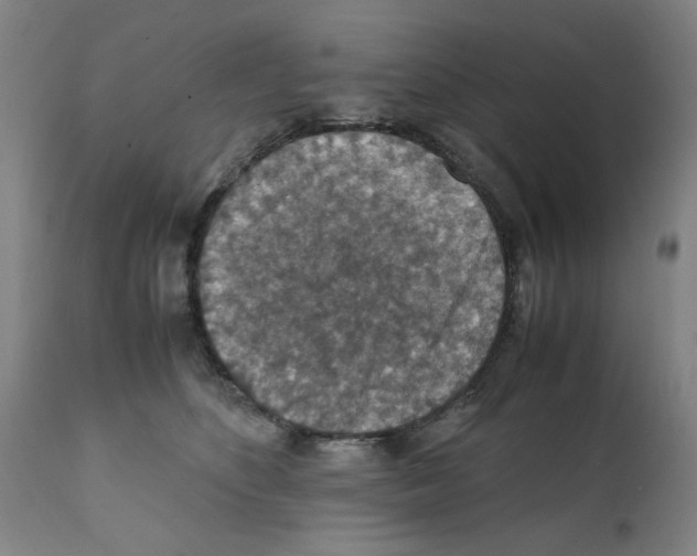 X0000112150516200909181426