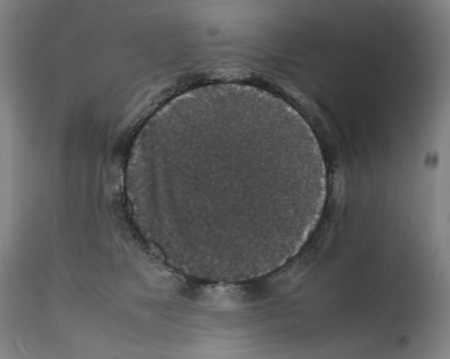 X0000112150517200909181426