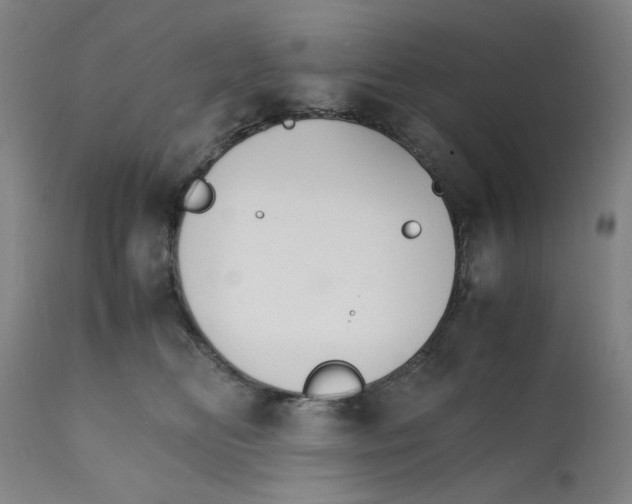 X0000112150518200909181426