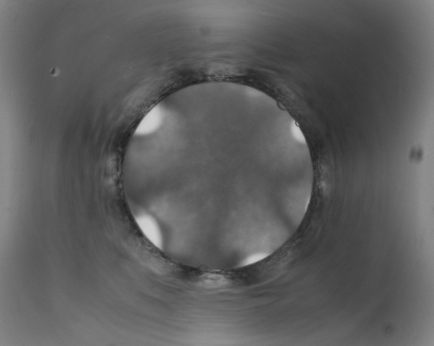 X0000112150519200909181426