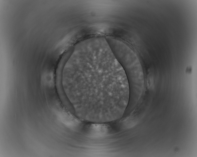 X0000112150520200909181426