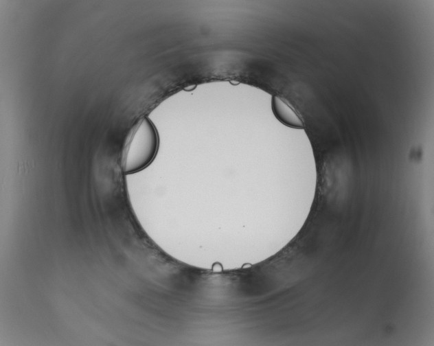X0000112150522200909181426