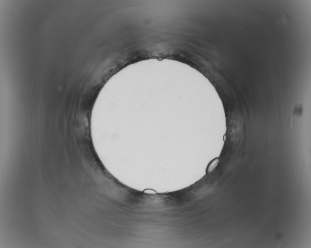 X0000112150523200909181426