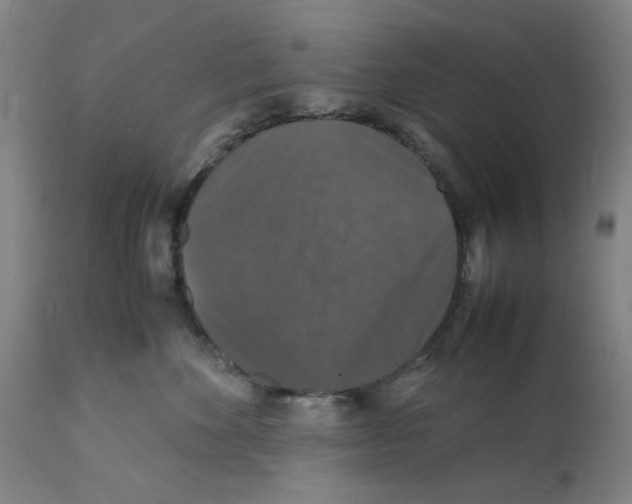 X0000112150524200909181426