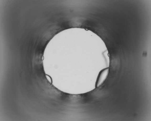 X0000112150525200909181426