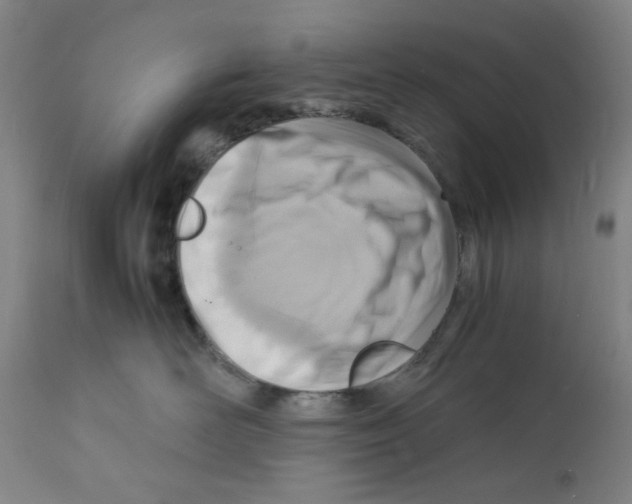 X0000112150526200909181426