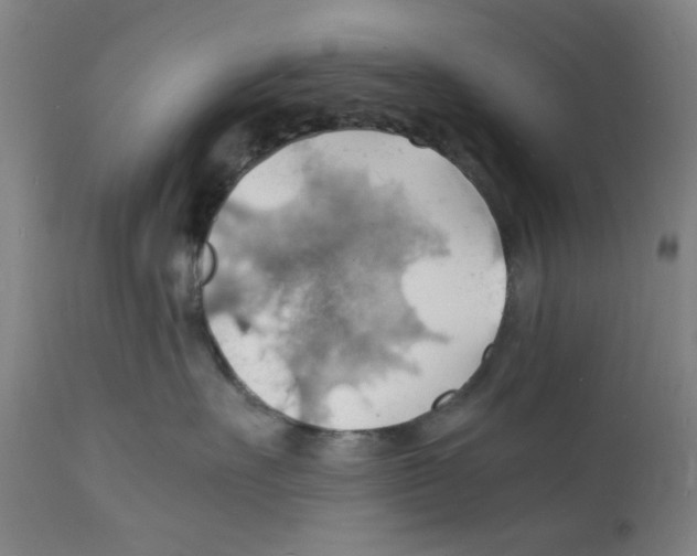 X0000112150527200909181426