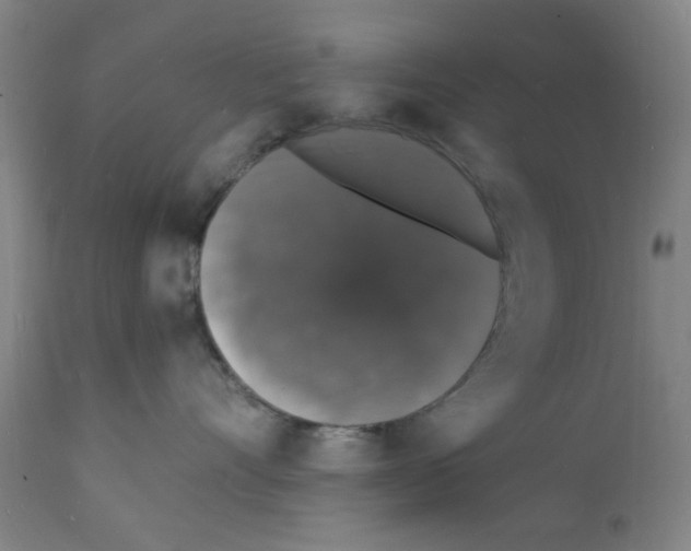 X0000112150528200909181426
