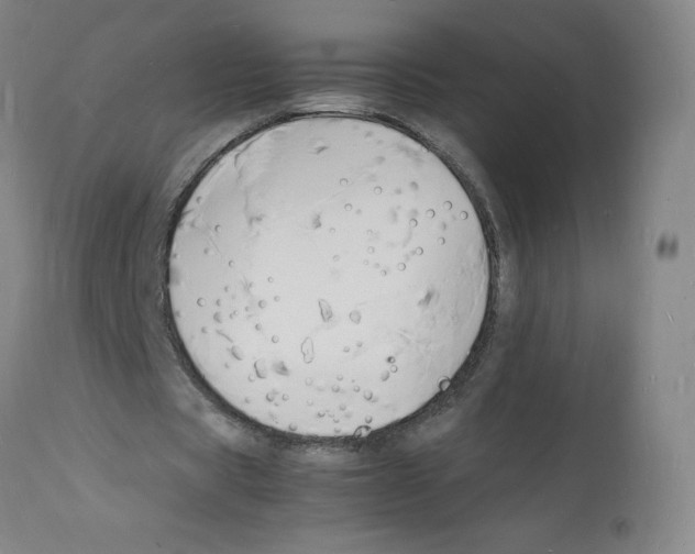 X0000112150529200909181425