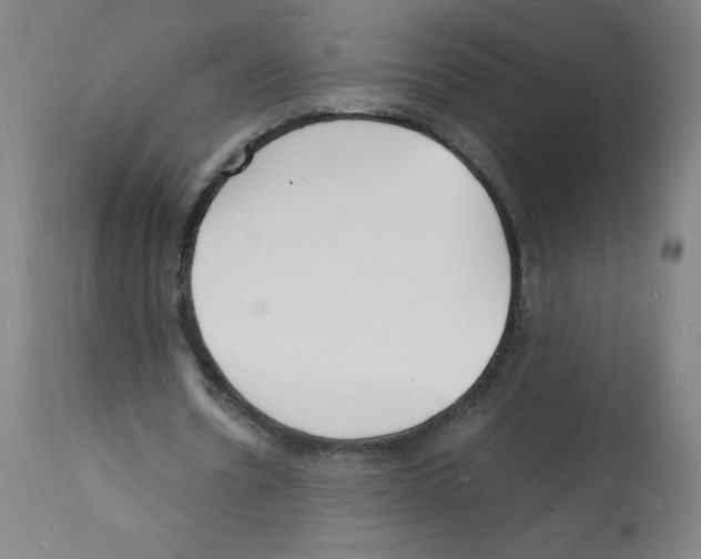X0000112150530200909181425