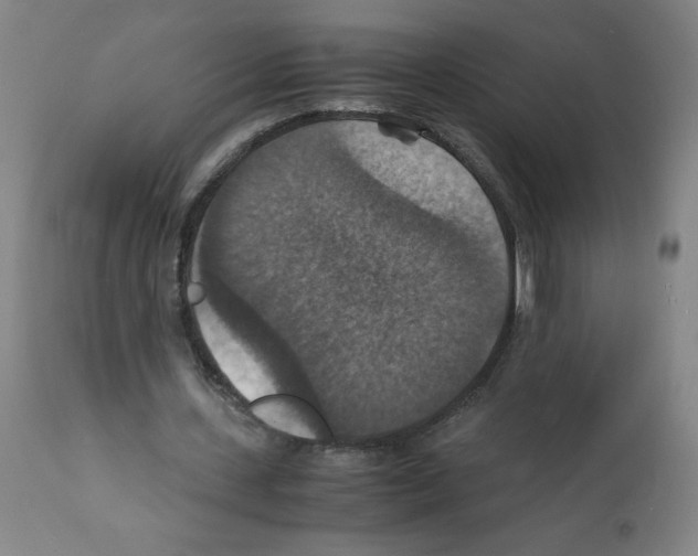 X0000112150531200909181425