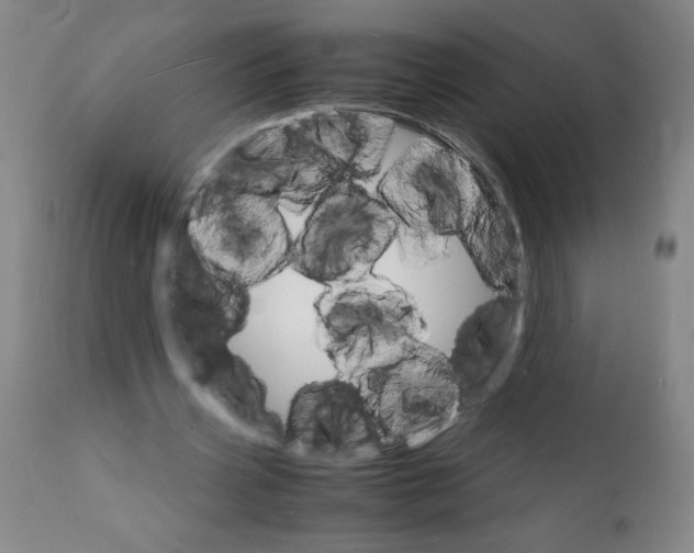 X0000112150533200909181425