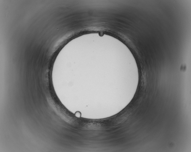 X0000112150535200909181425