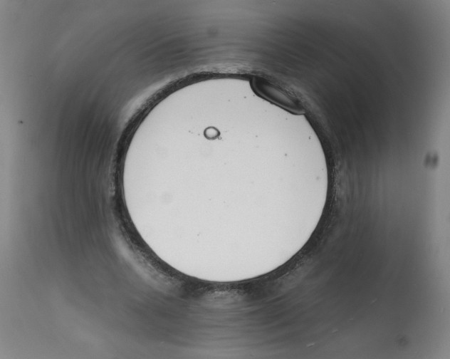 X0000112150536200909181425
