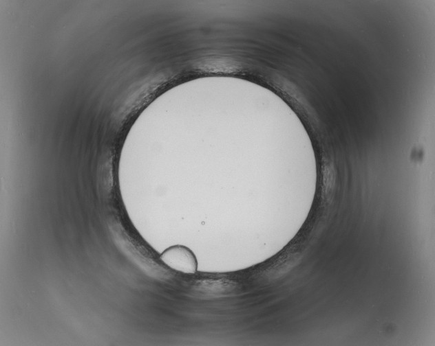 X0000112150541200909181426