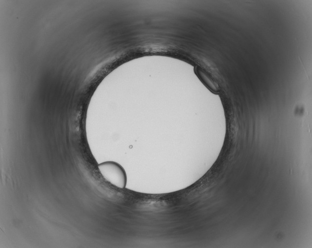X0000112150543200909181426