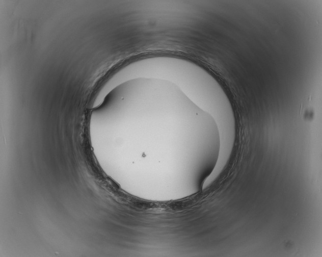 X0000112150544200909181426