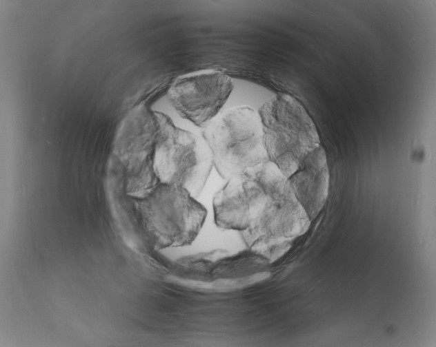 X0000112150545200909181426