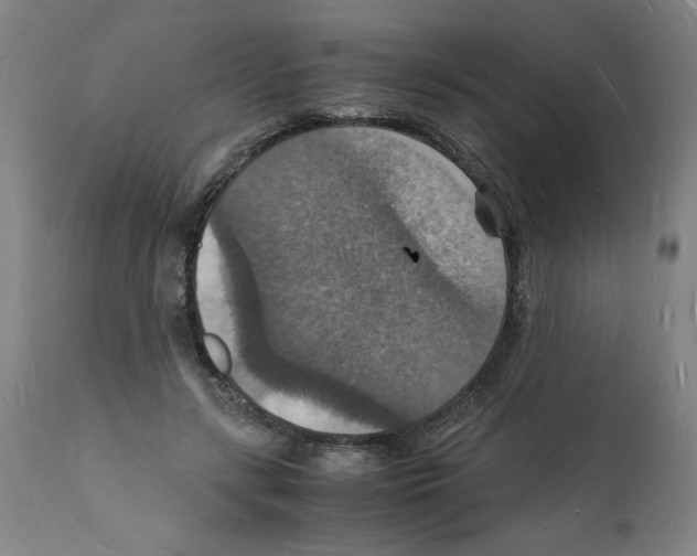 X0000112150547200909181426
