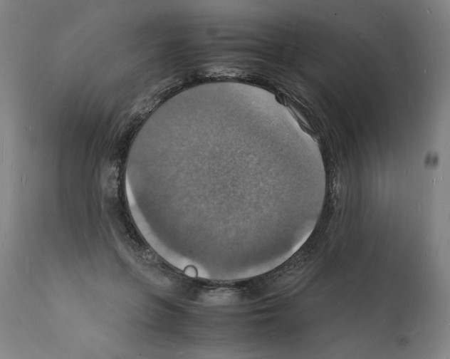 X0000112150551200909181426