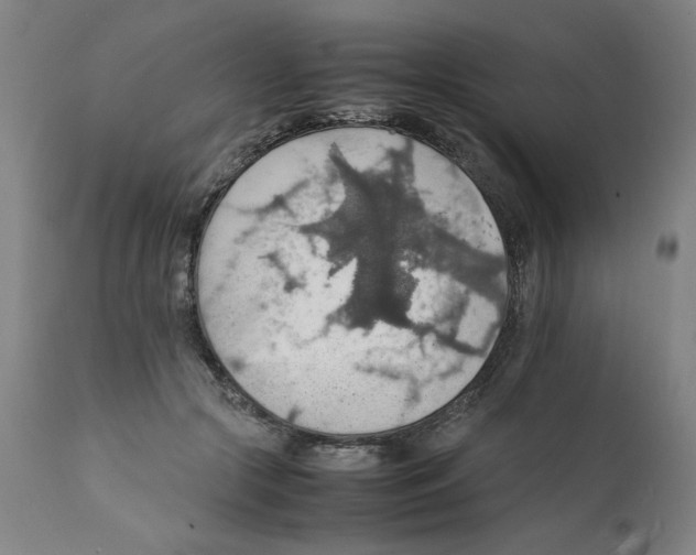 X0000112150553200909181426