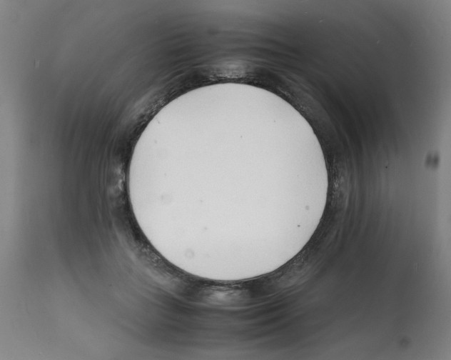 X0000112150555200909181426