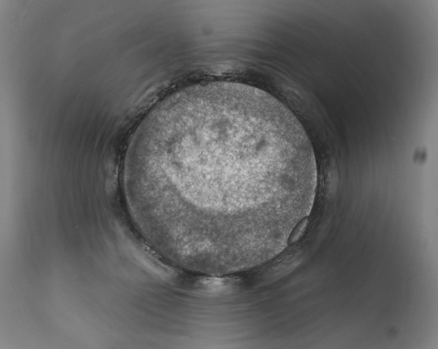 X0000112150558200909181426