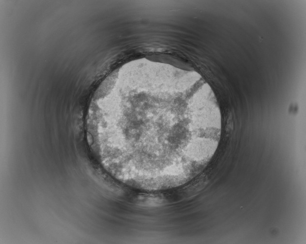 X0000112150559200909181426