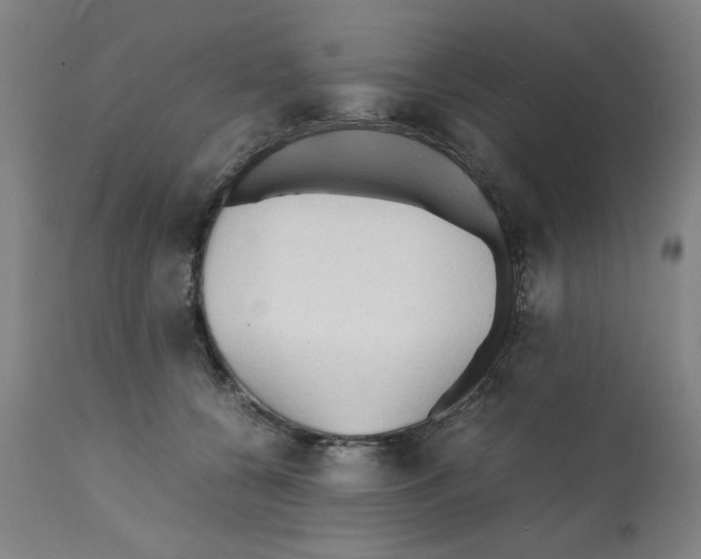 X0000112150560200909181426