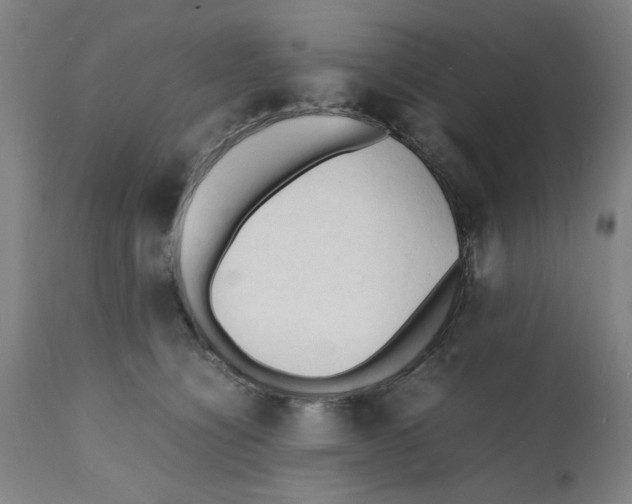 X0000112150564200909181426
