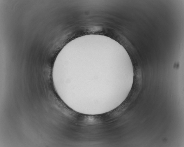 X0000112150565200909181426