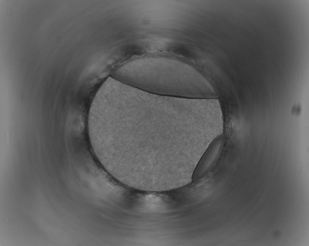 X0000112150566200909181426