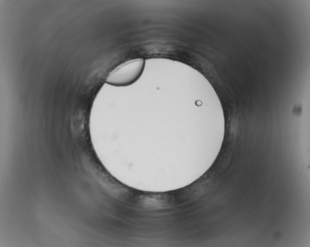 X0000112150567200909181426
