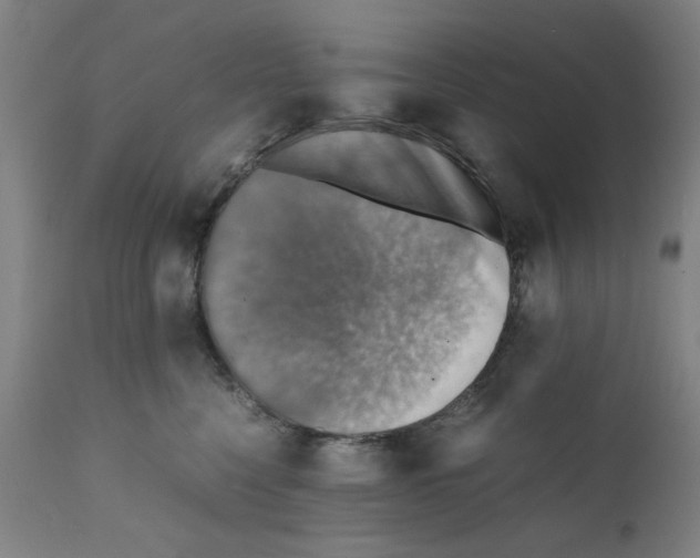 X0000112150568200909181426