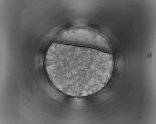 X0000112150570200909181426
