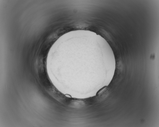 X0000112150572200909181426