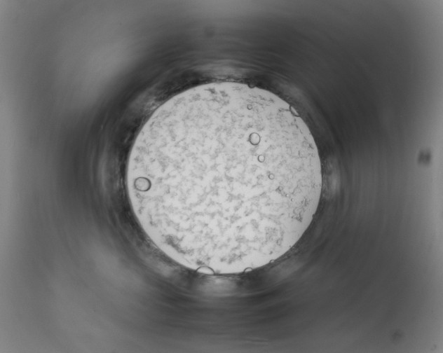 X0000112150573200909181426