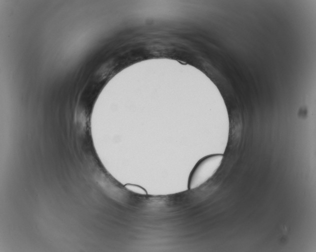 X0000112150574200909181426